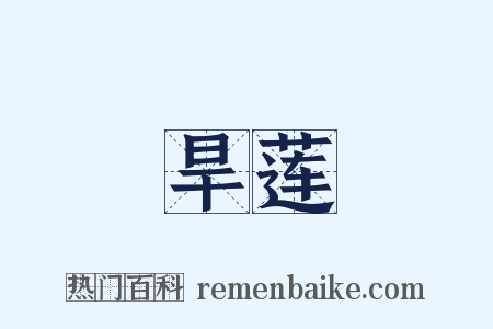 旱莲是什么意思的图片